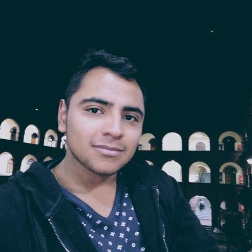 Manuel Alejandro D. || item.role}