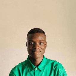 Martins A. - Junior Software Engineer - Web, Website Design and General Development