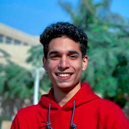 Marwan S. - Software Engineer - Frontend, Modern Frameworks and Mobile Platforms