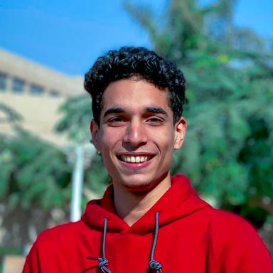 Marwan S. - Software Engineer - Frontend, Modern Frameworks and Mobile Platforms