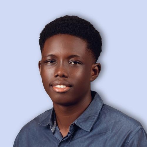 Mayowa O. || item.role}