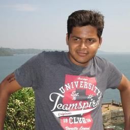 Mayur R. - Software Engineer - Frontend, Backend and Web Development