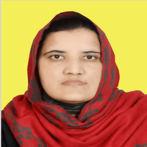 Mehwish Z. || item.role}