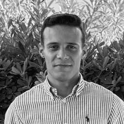 Mehyar M. - Senior Software Engineer - AI, Cloud and Machine Learning Platforms