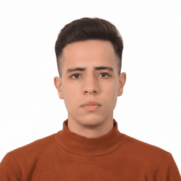 Menaouer H. - Junior Full-Stack Engineer - Node.js, React and Web Development