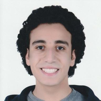 Michael I. - Software Engineer - Full-Stack, Web and General Development