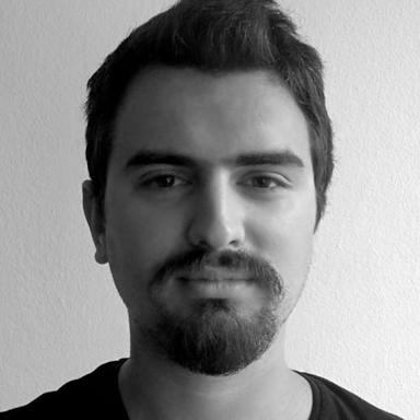 Milos T. - Lead Software Engineer - Web, PHP and WordPress Platforms