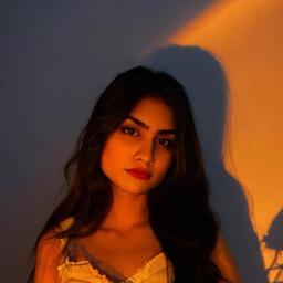 Mirjan I. - Software Engineer - Web, UI/UX and No-Code Platforms