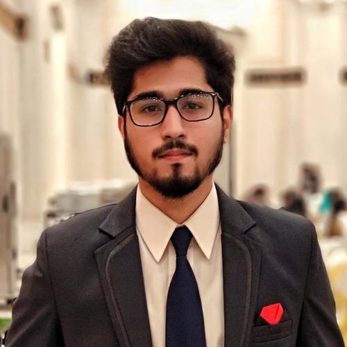 Moeez S. || item.role}