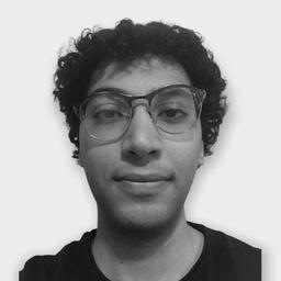 Mohamed A. - Software Engineer - Backend, Web and API Development