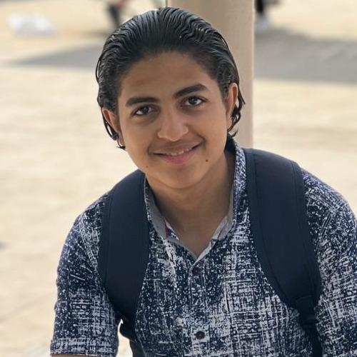 Mohamed M. || item.role}