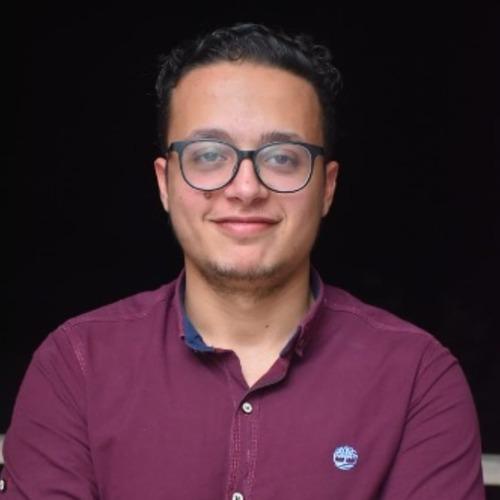 Mohamed R. || item.role}