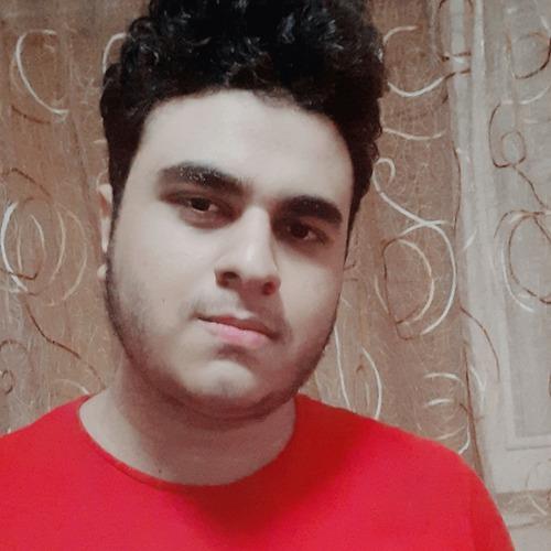 Profile of Mohamed S., AI/Machine Learning Developer at Softaims