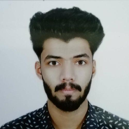 Mohammad Ibrahim I. - TypeScript Developer