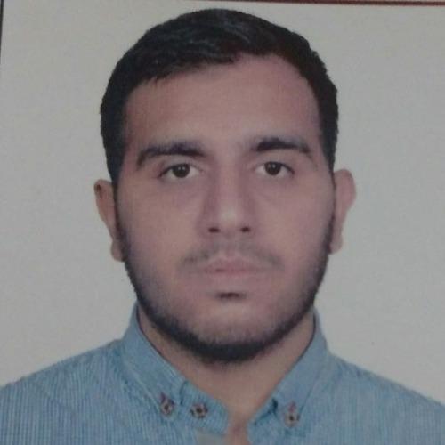 Mohsin Ali H. || item.role}