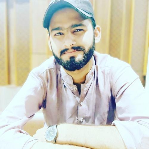 Mohsin R. || item.role}