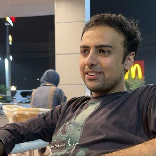 Moiz R. || item.role}