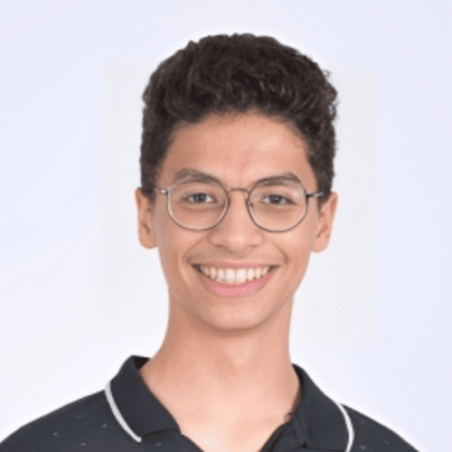 Profile of Mosaab A., Software Engineer - Frontend, Web and UI/UX Platforms at Softaims