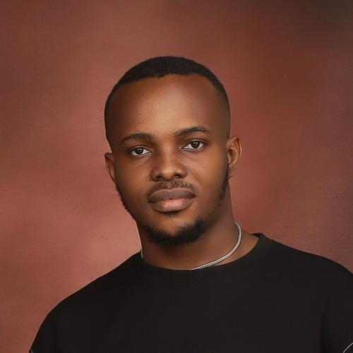 Profile of Moses Chukwuemeka U., Senior Full-Stack Engineer - Node.js, React and Cloud Platforms at Softaims