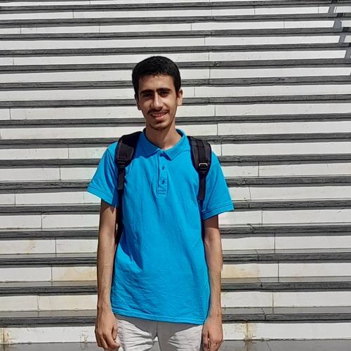 Mostafa A. || item.role}