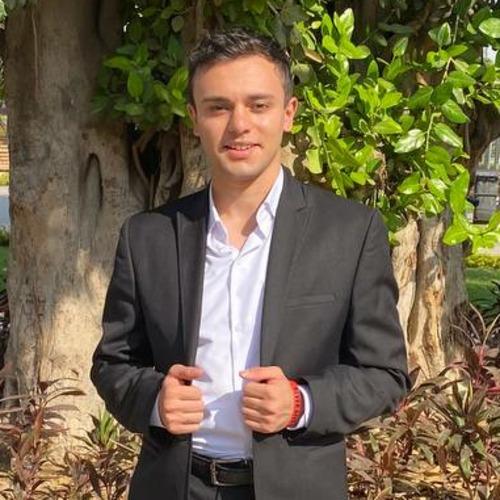 Mostafa M. || item.role}