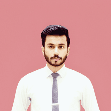 Mubashar H. - Junior Software Engineer - AI, Python and General Development