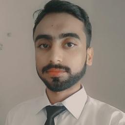 Muddasir N. - Software Engineer - Frontend, Backend and Mobile Platforms