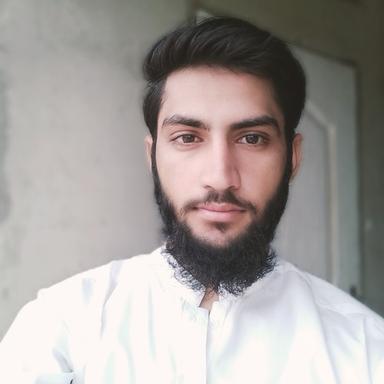 Muhammad  A. - Software Engineer - Frontend, Modern Frameworks and Web Development