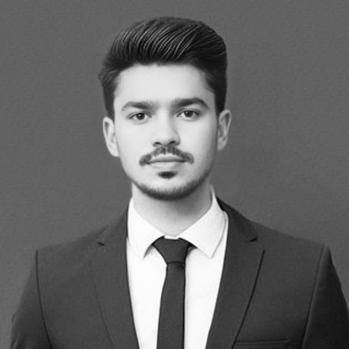 Muhammad Anees M. || item.role}