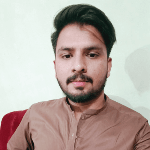 Muhammad Awais S. || item.role}