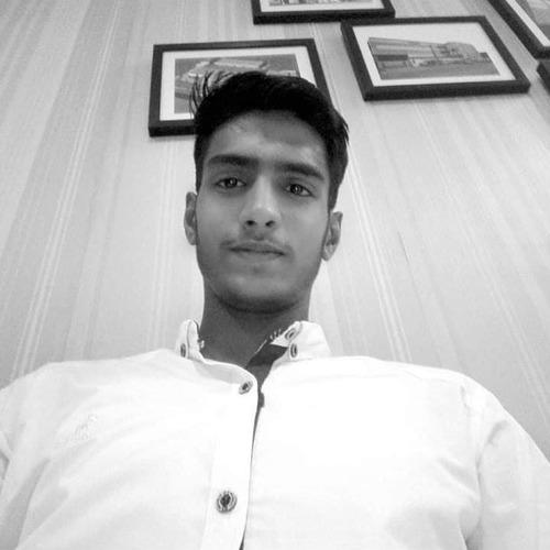 Muhammad B. || item.role}