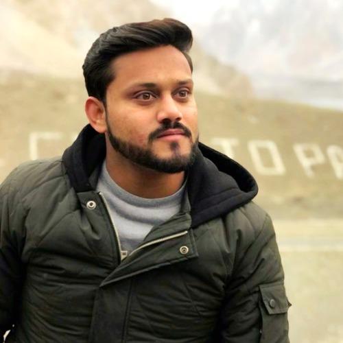 Muhammad Fiaz T. || item.role}