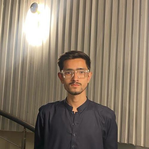 Muhammad H. || item.role}