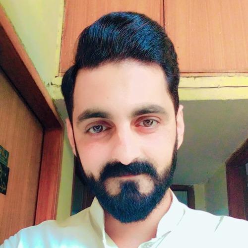 Muhammad H. || item.role}