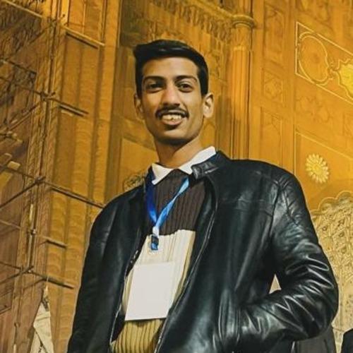 Muhammad Hamza N. || item.role}