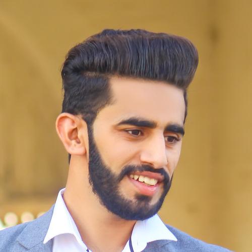 Muhammad Hassan N. || item.role}