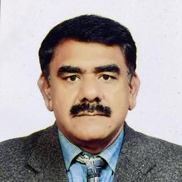 Muhammad M. - Junior Software Engineer - Web, Backend and General Development