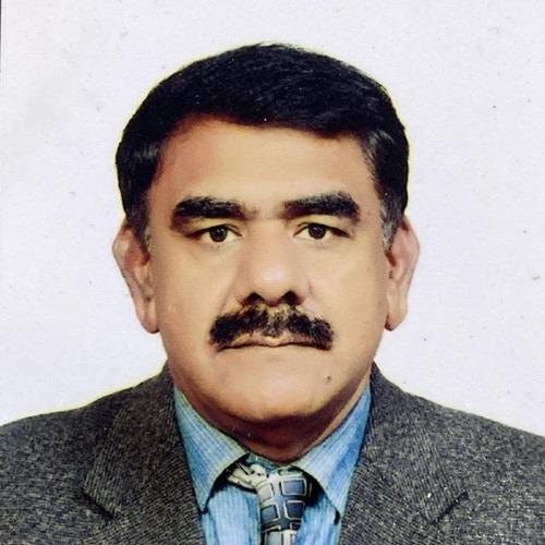 Muhammad M. || item.role}