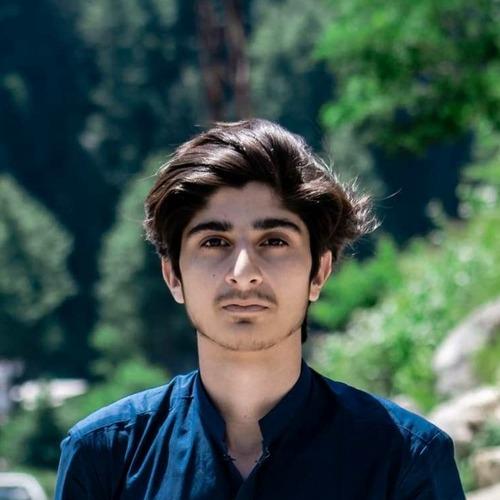 Muhammad R. || item.role}