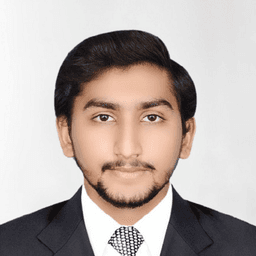 Muhammad R. - Senior Backend Engineer - Blockchain, Cryptocurrency and Smart Contract Platforms