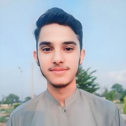 Muhammad S. - Junior Software Engineer - Web, Backend and General Development