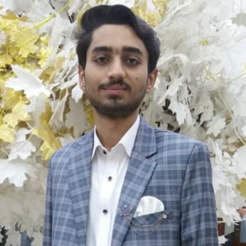 Muhammad Sohaib R. || item.role}