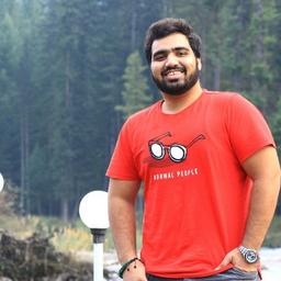 Muhammad T. - Software Engineer - Game Development, AI and Data Science Platforms