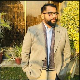 Muhammad Waleed K. - Junior Software Engineer - QA, C# and Test Development