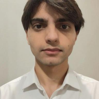 Muhammad Z. - Junior Software Engineer - Security, Web and General Development