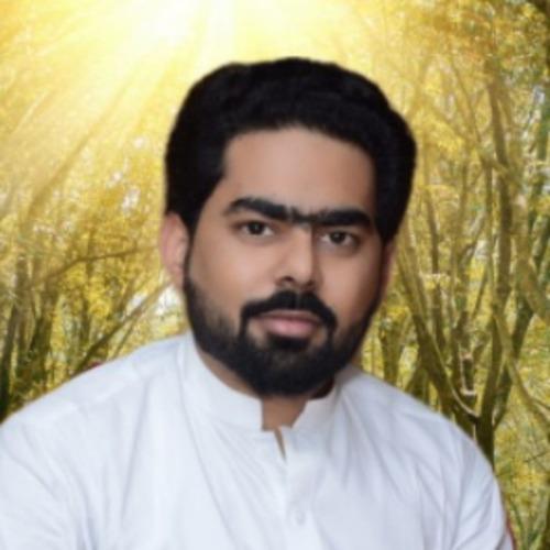 Mujassir N. || item.role}