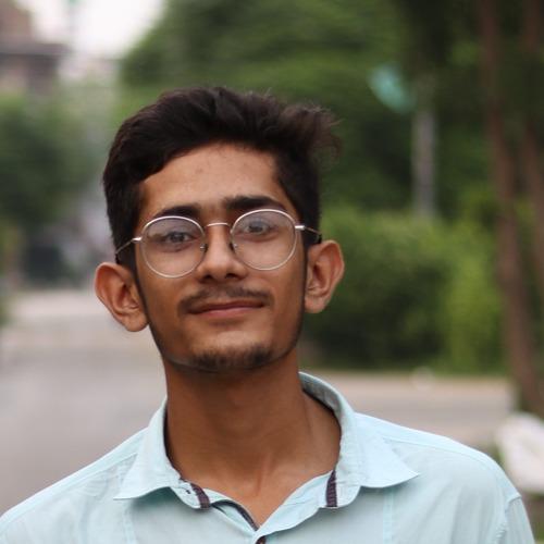 Mujtaba C. || item.role}