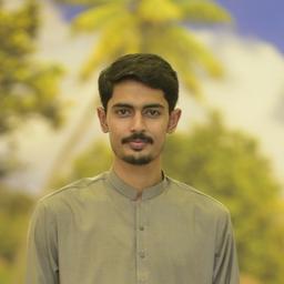 Muneeb U. - Software Engineer - Backend, Web and Desktop Applications