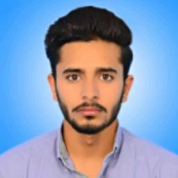 Muzammil D. - Software Engineer - Frontend, Backend and Web Applications