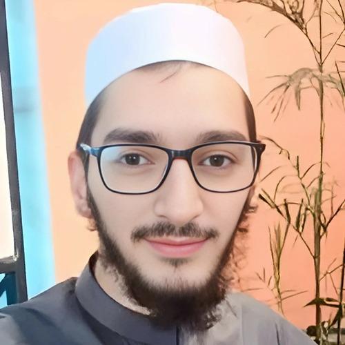 NaeemUl H. || item.role}